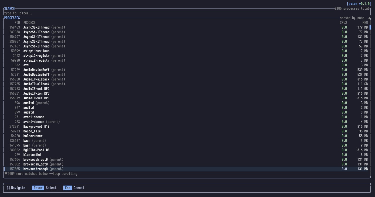 The pview process picker: a filter box above a list of running processes with PID, name, CPU percent, and memory.